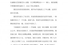 遵化市旅游感想(张家界旅游感想)