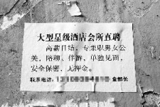 遵化市珠海伴游雇用网(珠海游览社雇用信息)