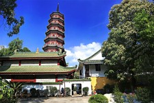 遵化市广州自由行(广州 自由行)