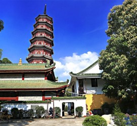 遵化市广州自由行(广州 自由行)