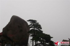 遵化市上海伴游私家陪游雇用女模(上海伴游私家陪游雇用女模特)