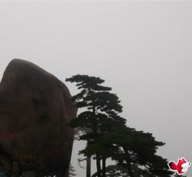 遵化市上海伴游私家陪游雇用女模(上海伴游私家陪游雇用女模特)