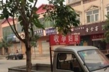 遵化市上海伴游 用伴游造句大全(5