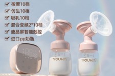 遵化市奶模(奶模型)