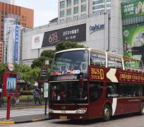 遵化市上海私人伴游 上海过年怎么玩？这些“微游”线路了解下→