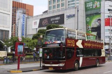 遵化市上海私人伴游 上海过年怎么玩？这些“微游”线路了解下→