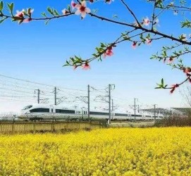 遵化市高铁游(高铁游戏下载手机版)