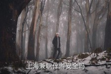 遵化市上海私人伴游 上海伴游，上海兼职伴游安全吗