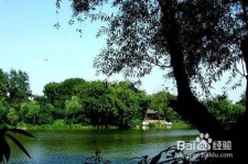 遵化市西湖旅游攻略(上海到杭州西湖旅游攻略)