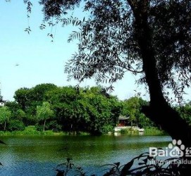 遵化市西湖旅游攻略(上海到杭州西湖旅游攻略)