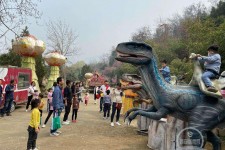 遵化市中国伴游带你打卡网红南山竹海(南山竹海网上预约)