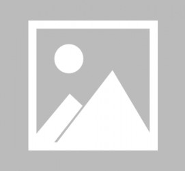 遵化市全国男伴游雇用信息(哪里有雇用男士伴游的)