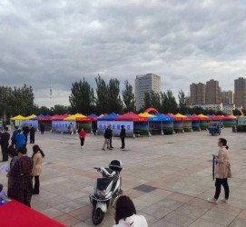 遵化市通辽伴游雇用(哈尔滨伴游雇用)