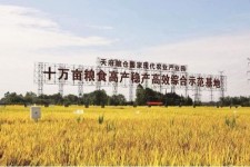 遵化市关于成都商务伴游外围雇用的信息