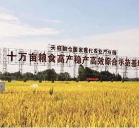 遵化市关于成都商务伴游外围雇用的信息