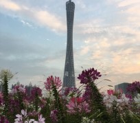 遵化市广州旅游攻略(杭州到广州旅游攻略)