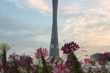 遵化市广州旅游攻略(杭州到广州旅游攻略)