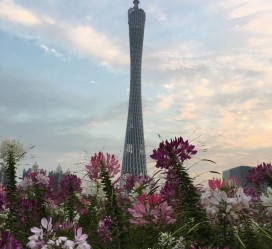 遵化市广州旅游攻略(杭州到广州旅游攻略)