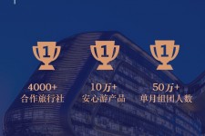 遵化市上海私人伴游 ​ “小而美”的新时代：2020年国内新跟团消费报告