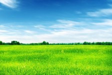 遵化市上海伴游 上海模特伴游微信号的交友宣言