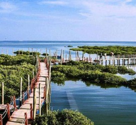 遵化市旅游哪里好玩(云南旅游哪里好玩)