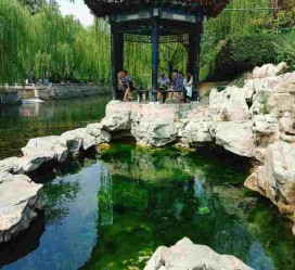 遵化市济南旅游攻略(青岛威海济南旅游攻略)