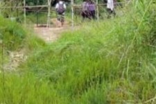 遵化市苍溪学生做伴游兼职(苍溪学生做伴游兼职怎么样)