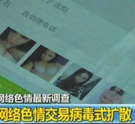 遵化市上海伴游 伴游女郎白天陪玩晚上陪睡 网络跑火日薪过万(图)